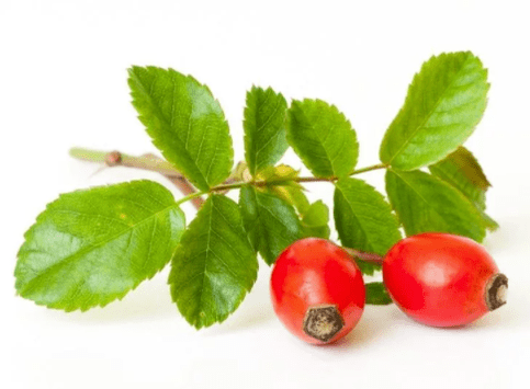 Rosa canina in Gluconol